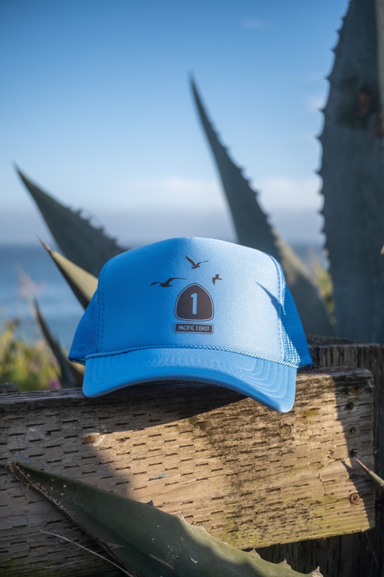 Blue baseball cap with bird design resting on a wooden surface outdoors, with large plant leaves and a blue sky in background.