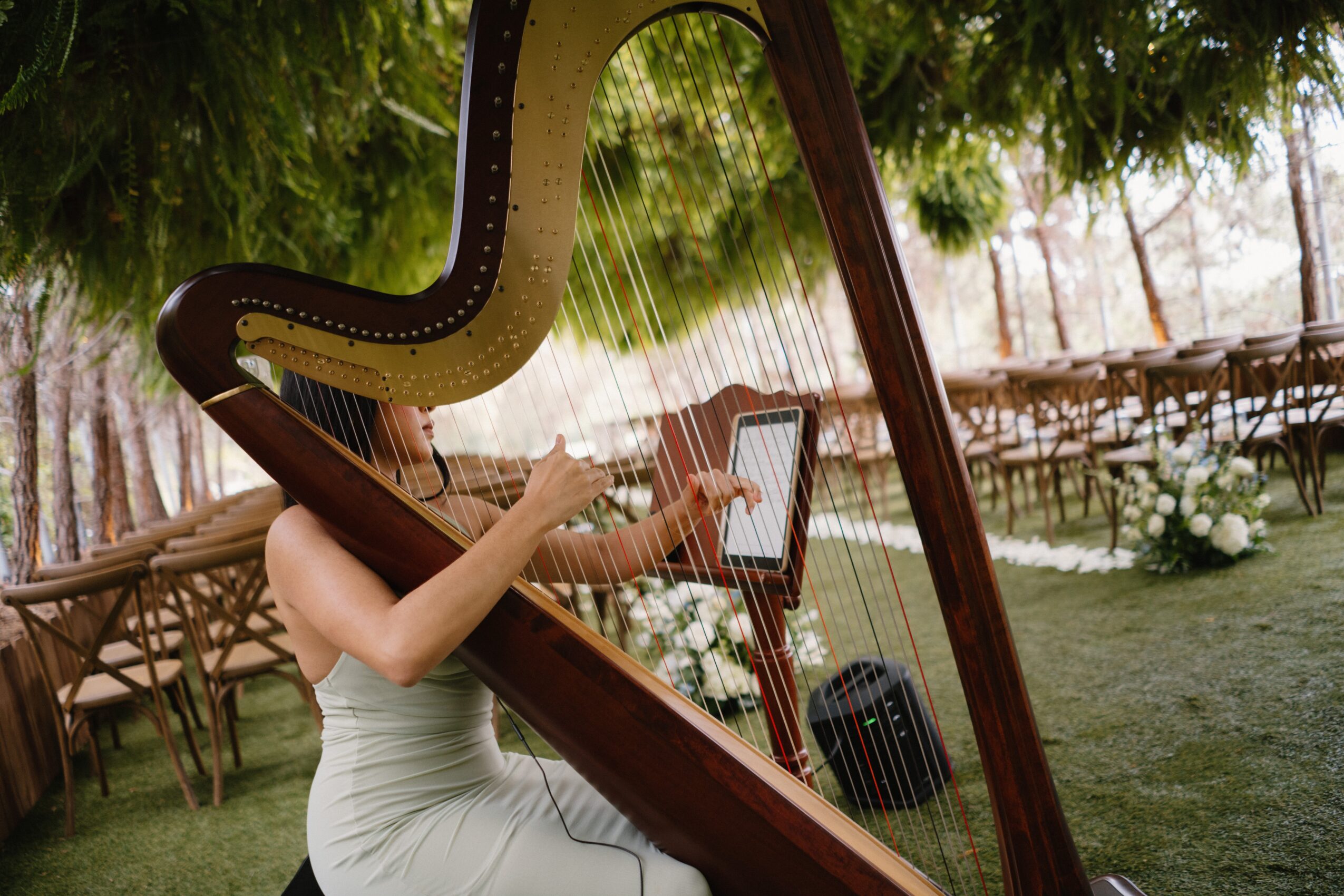 Person playing a harp outdoors with trees and chairs in the background, using a tablet, in a garden setting.