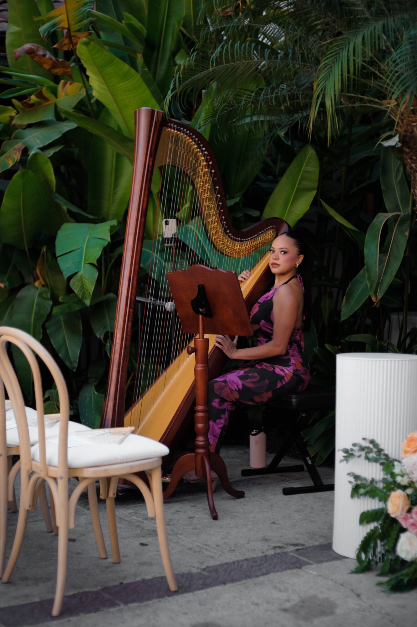 Woman playing harp in lush indoor garden with chairs and plants, holding sheet music, seated on a black chair.