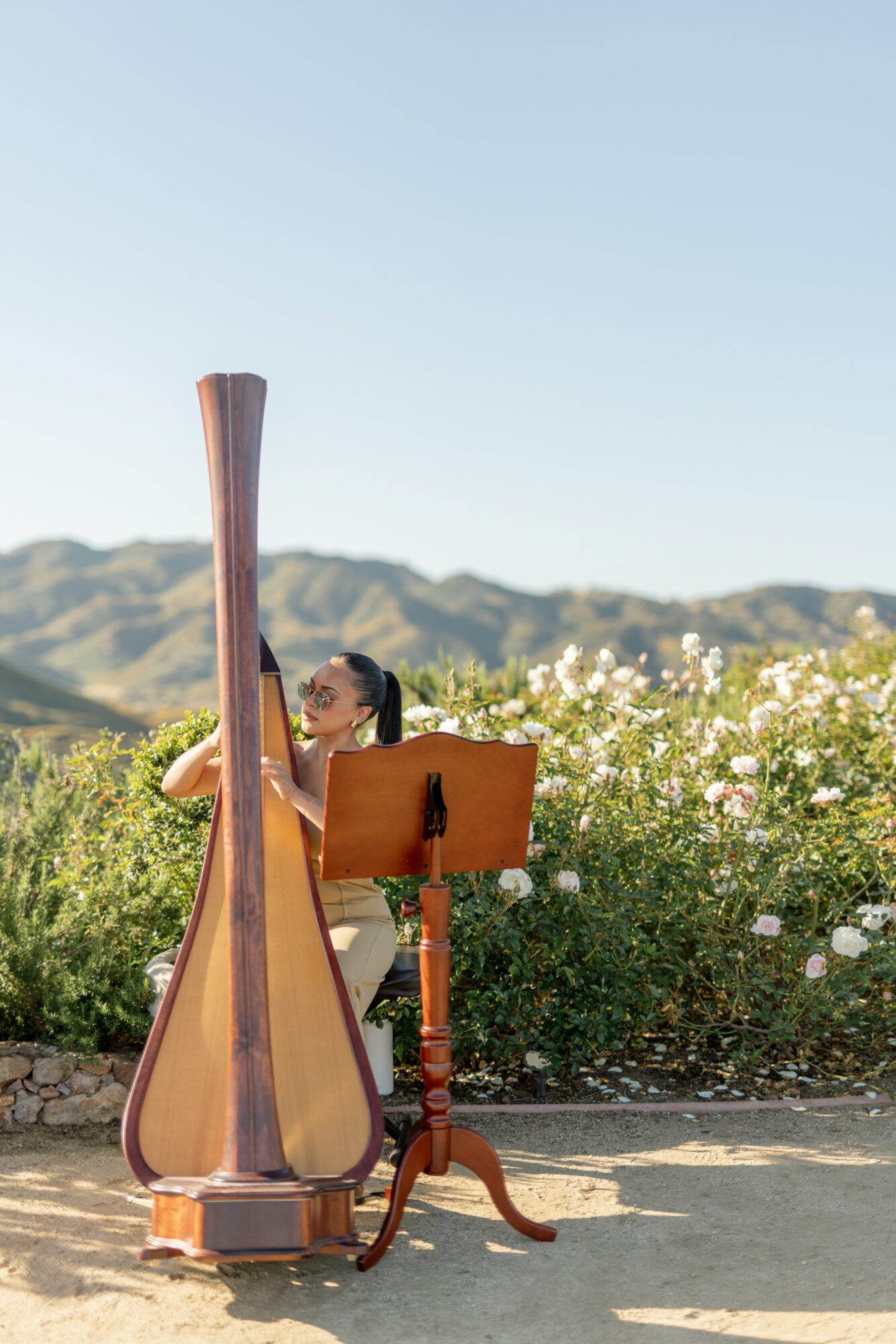 Person playing a large wooden harp outdoors with mountains and flowering bushes in the background.