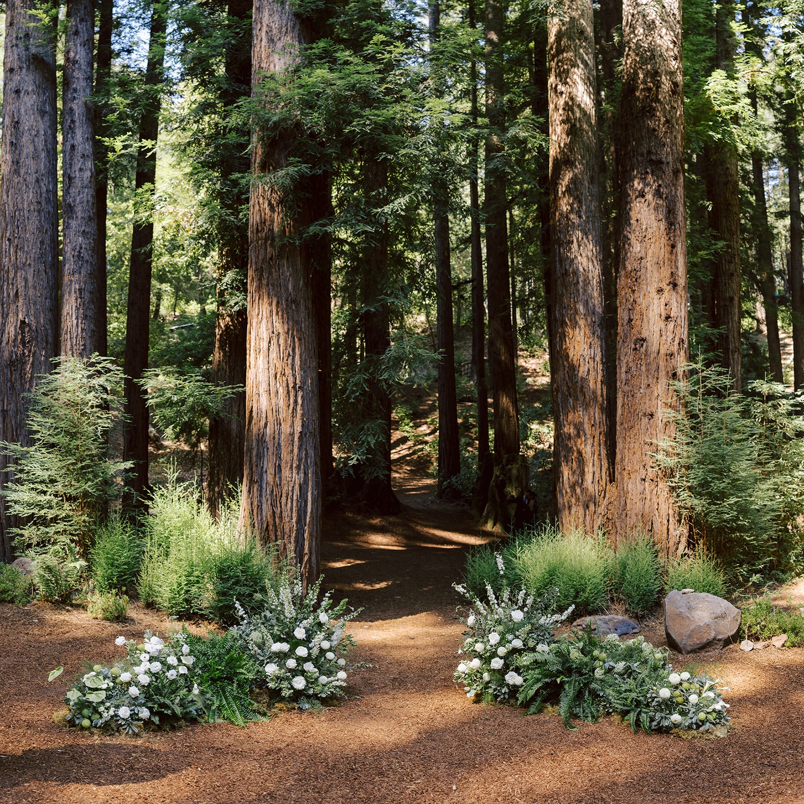 Path through a forest with tall trees and green foliage, decorated with white flowers and greenery at the entrance.