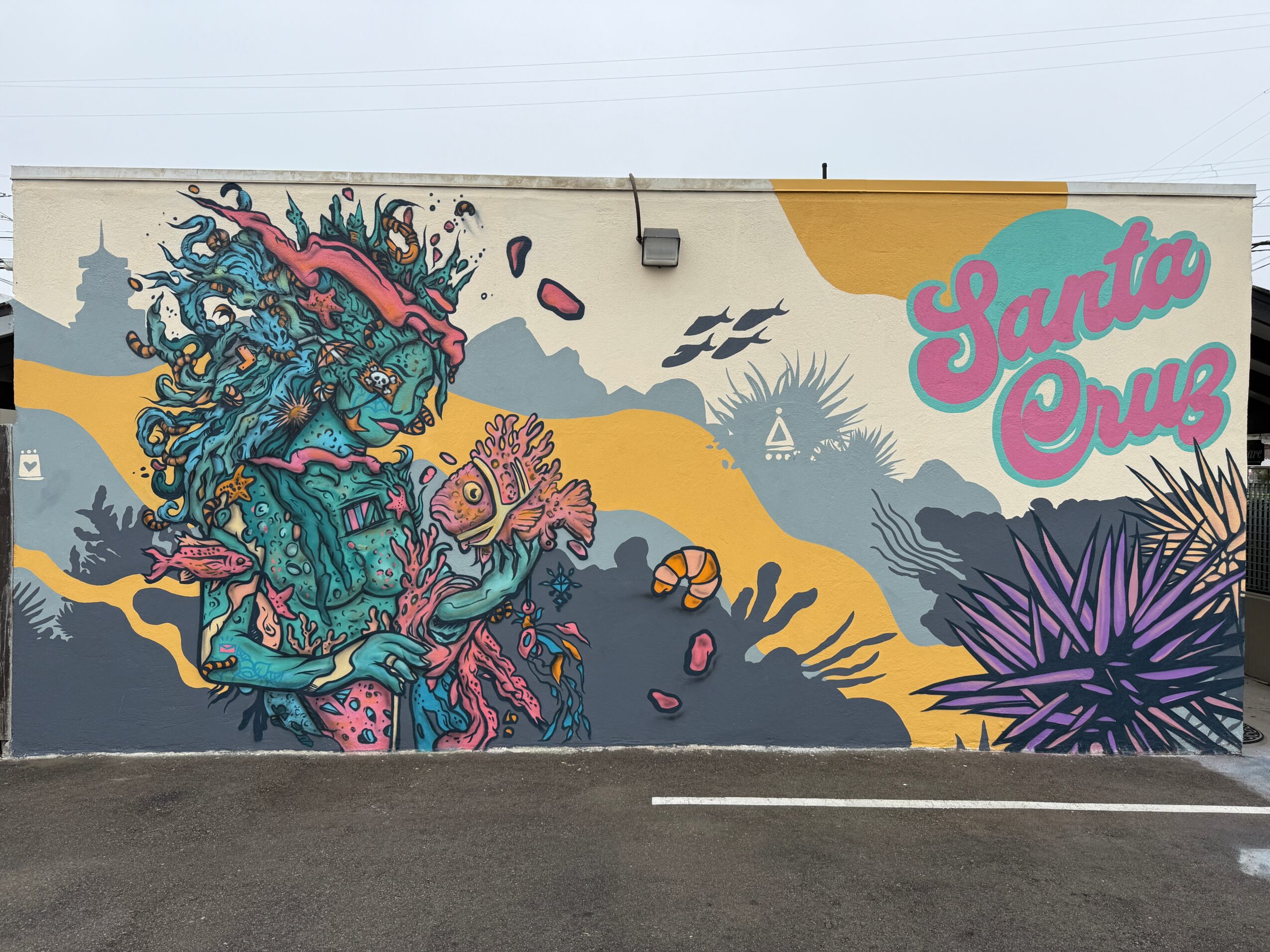 Colorful mural with a dragon, fish, and plants, and the words 'Santa Cruz' in pink script on a wall.