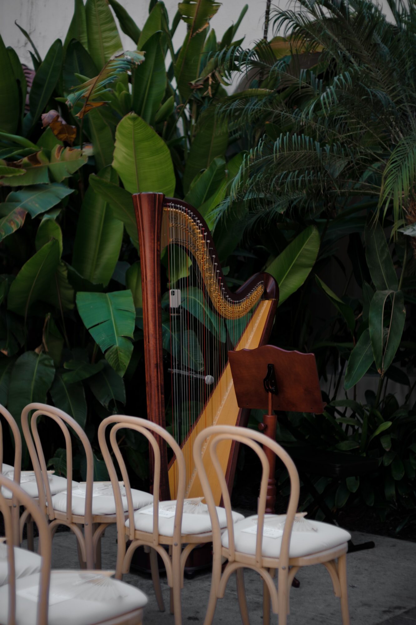 Harp surrounded by lush green plants, with chairs in front, in a garden setting.