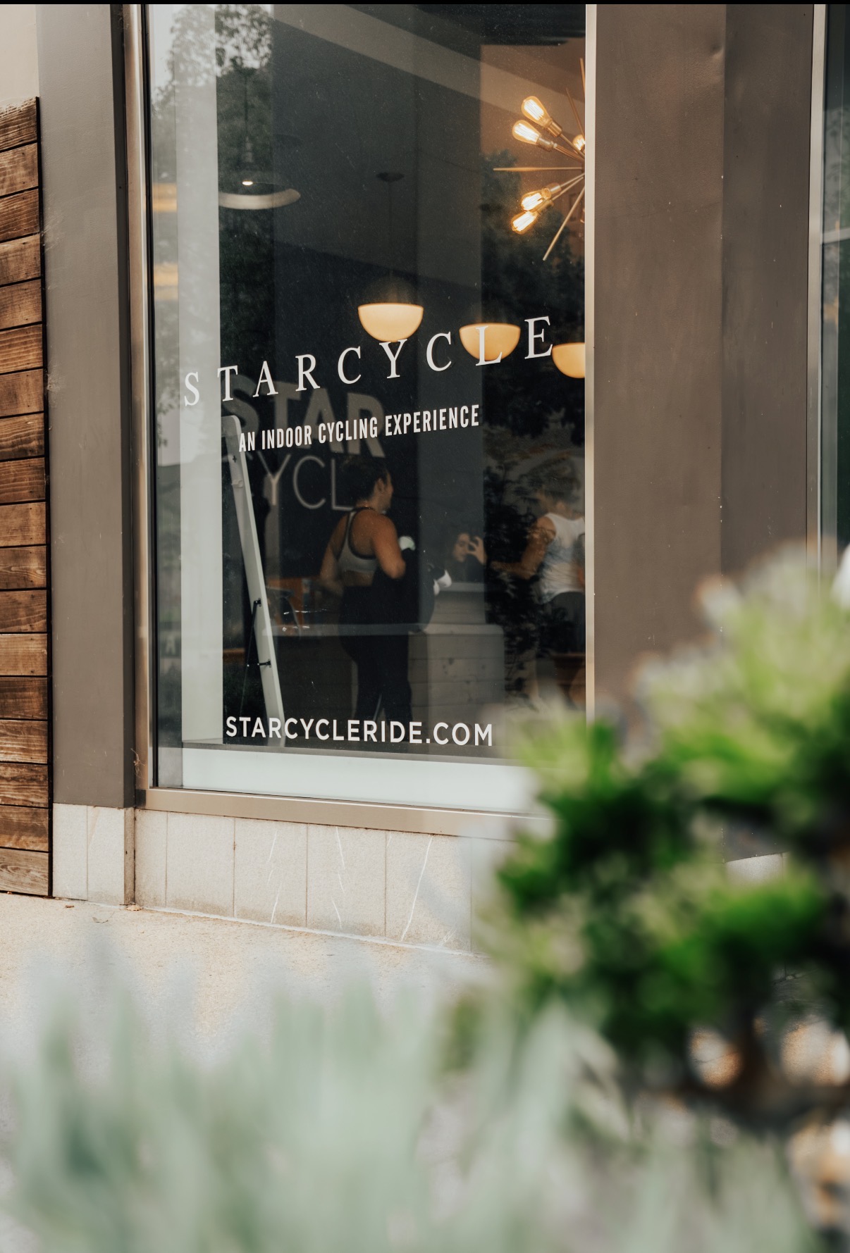 Store window with text and reflection, blurred greenery in foreground, interior lighting visible, and a person inside.