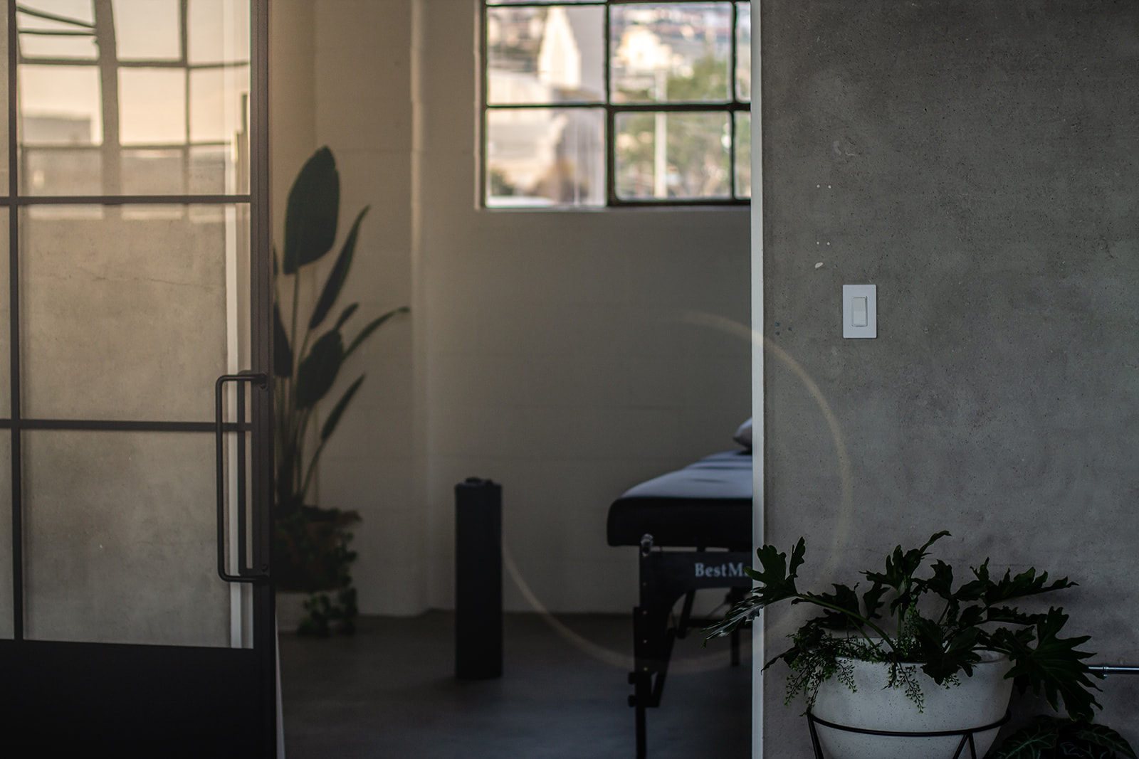 Part of a room with a window, a potted plant, and a bed visible through an open doorway.
