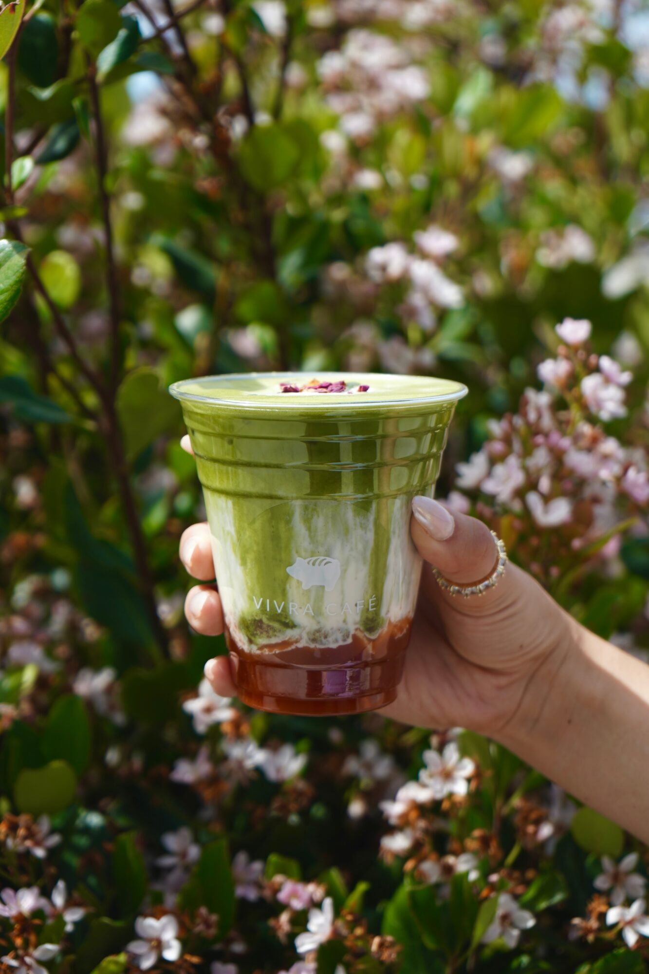 Hand holding a glass with layered green and red drink against pink flowering bushes background.