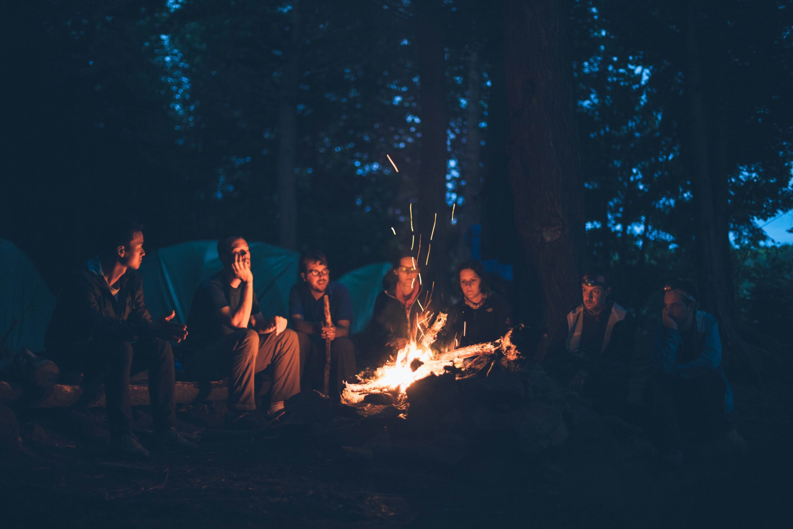 Group of people sitting around a campfire at night in a forest, with trees and starry sky visible.
