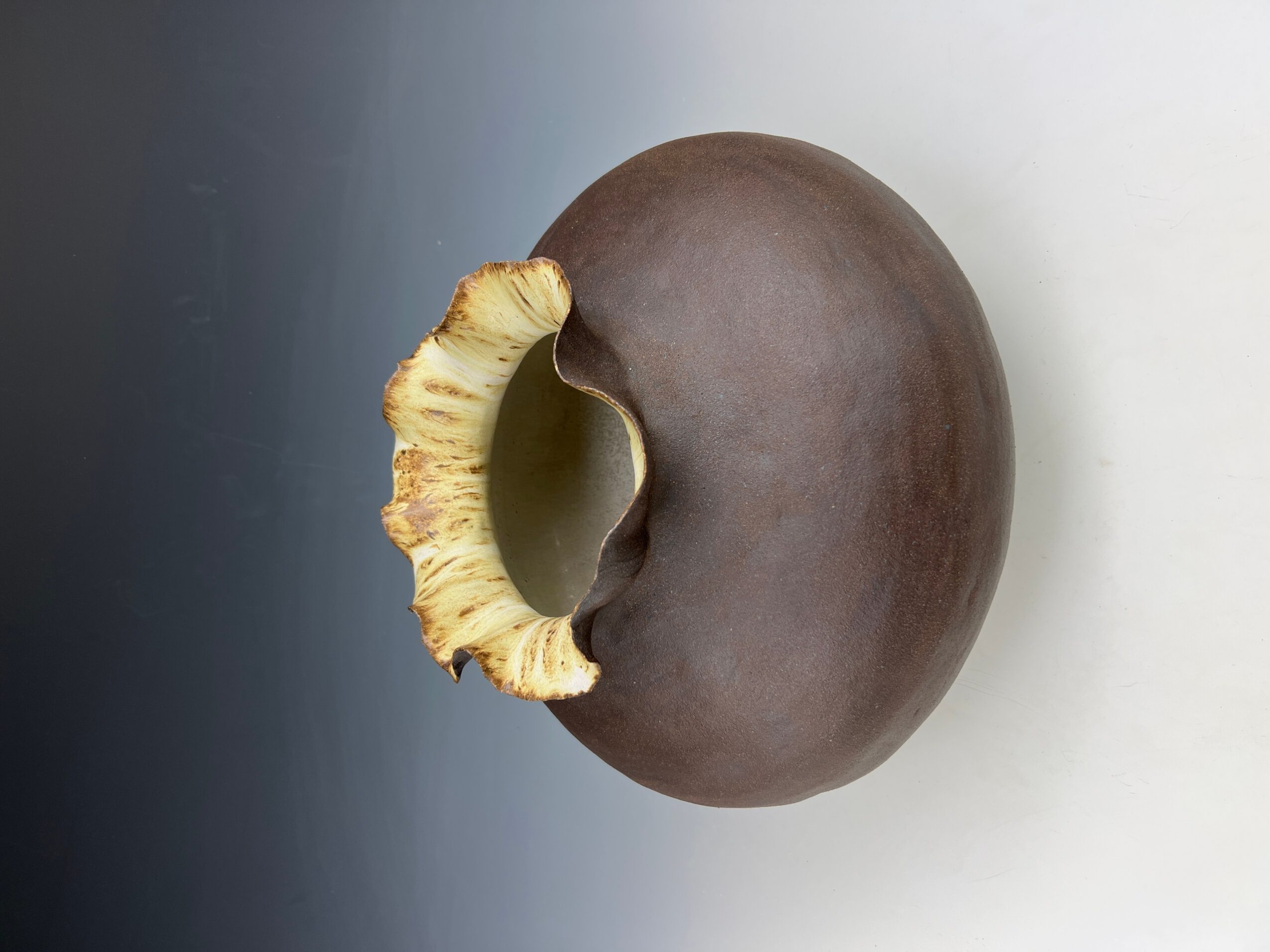 A round chocolate-covered donut with a yellowish, ruffled edge on a two-tone background.