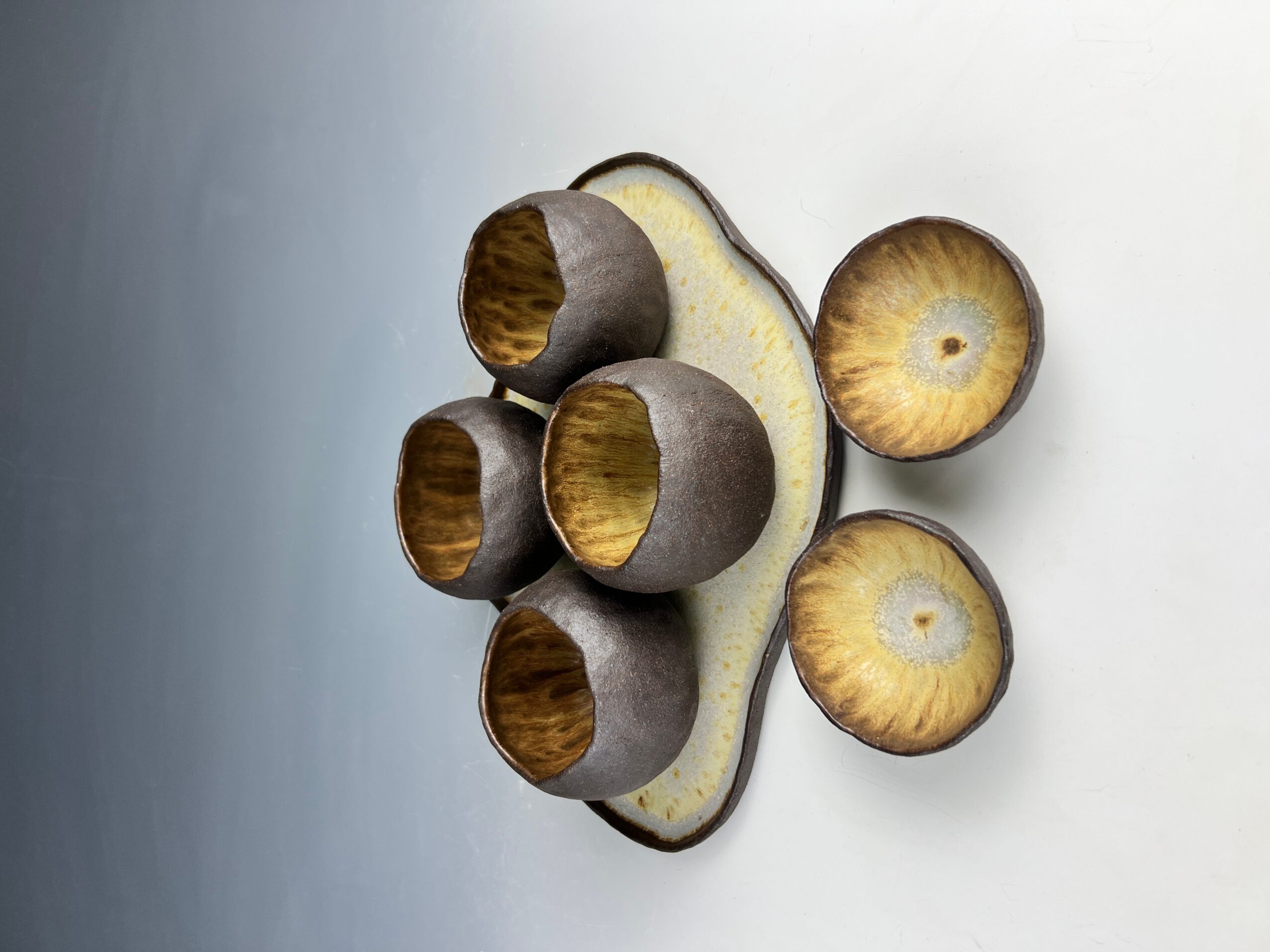 Five mushrooms on a white surface, with three whole and two cut in half, showing gills inside.