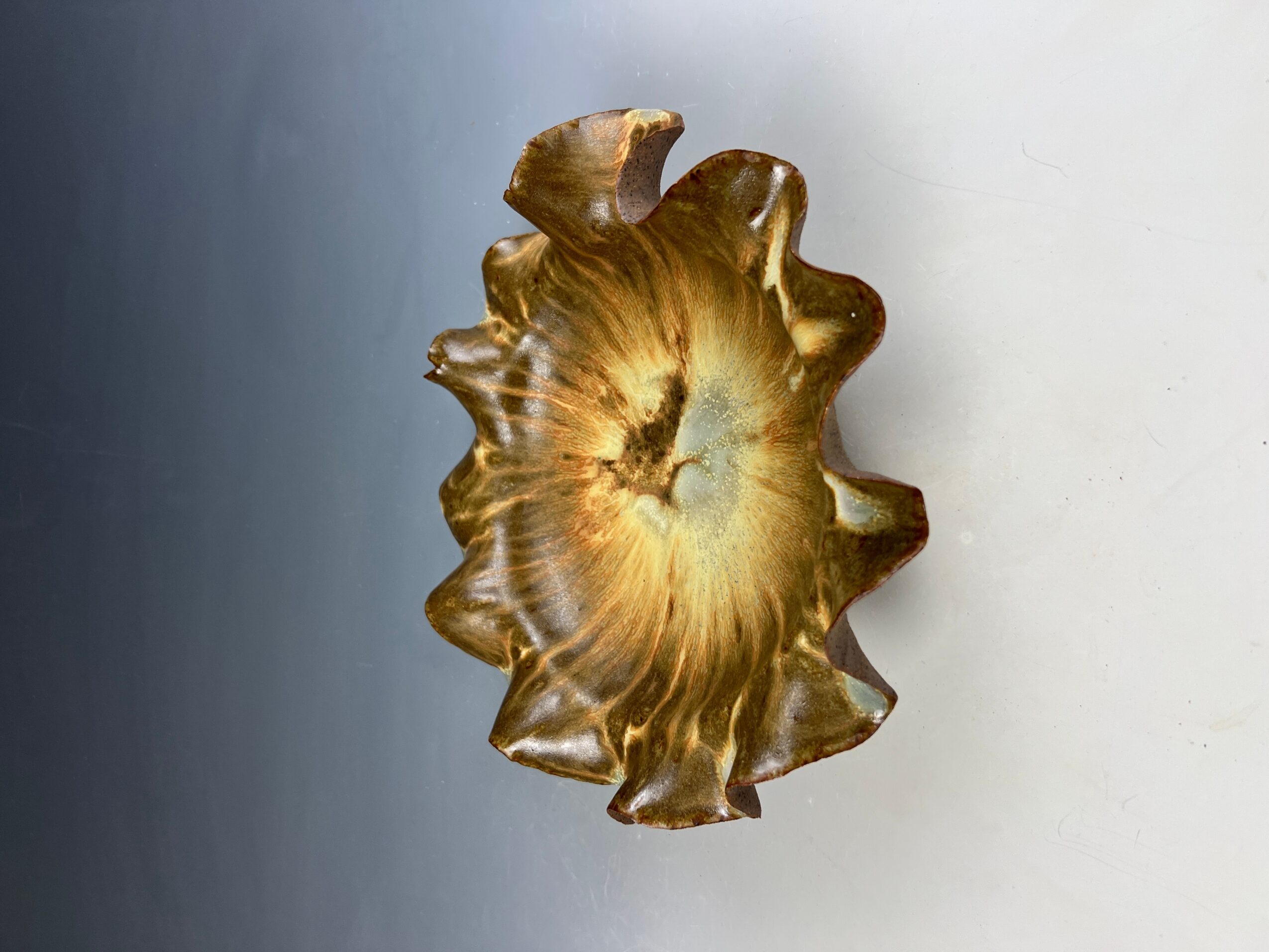 A seashell with a spiral pattern and ridges, positioned vertically against a plain background.